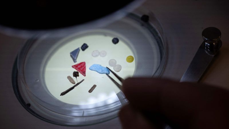 Microplastics discovered in human semen and follicular fluid in new research