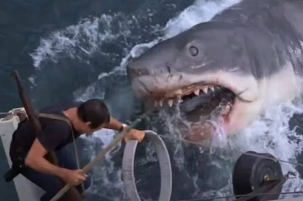 Steven Spielberg left suffering panic attacks and PTSD after directing Jaws