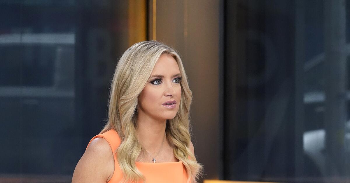 Kayleigh McEnany of Fox News has a new baby. Big sis is thrilled; big bro not so much