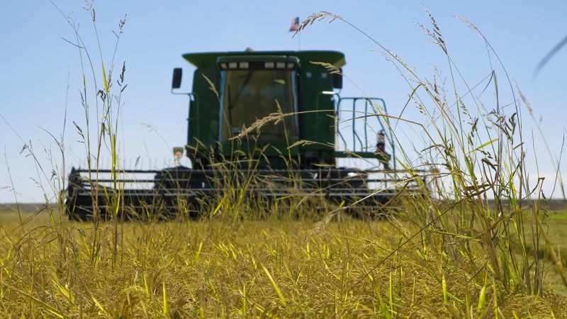 Trump threatens Japan with new tariffs, claiming it won’t buy America’s rice